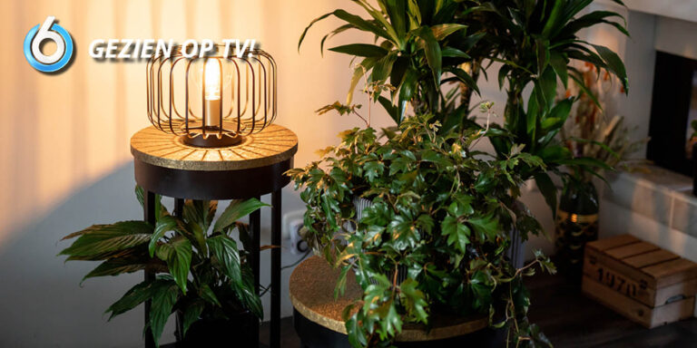 Aflevering 21 Andalusie Gold 2