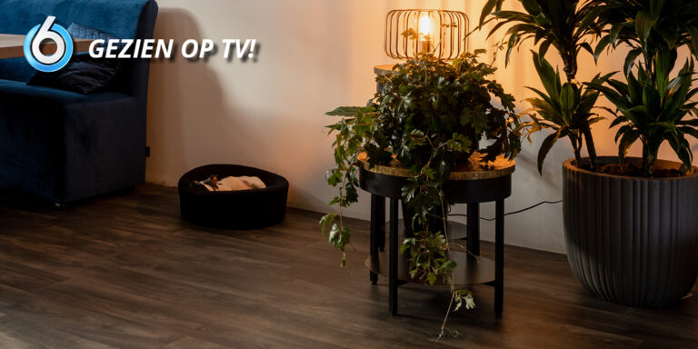 Aflevering 21 Andalusie Gold 3