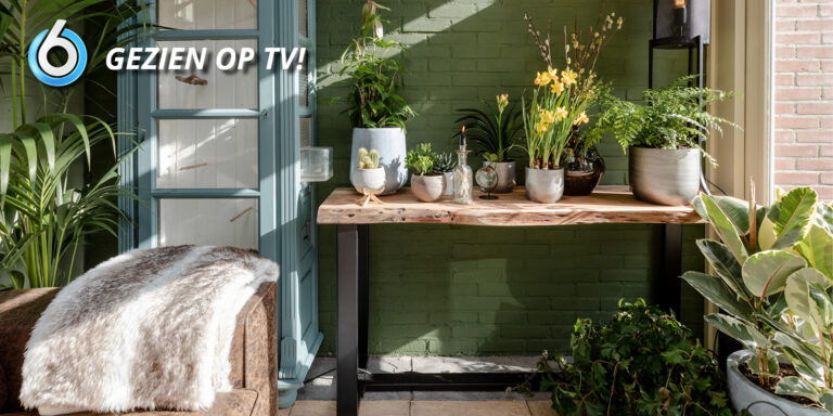 Aflevering 25 Live Edge Side Table 2
