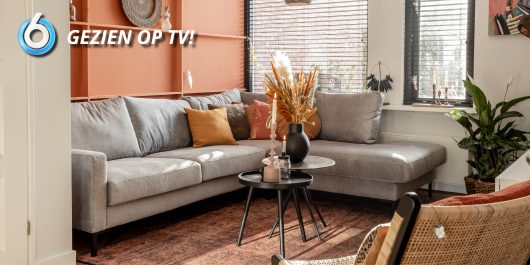 Aflevering 15 Gino Loungebank 530x265 1